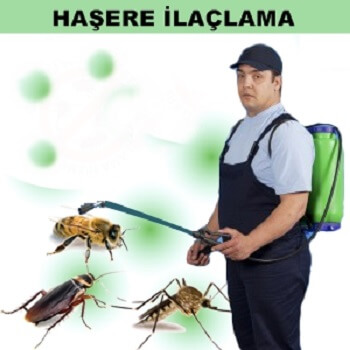 Gerze Böcek İlaçlama
